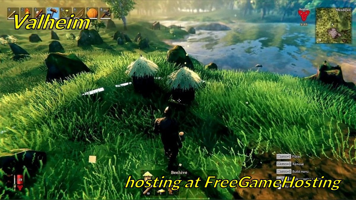 freegamehosting.eu